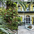 Hemingway House - Key West