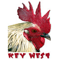 Special Edition Key West Rooster